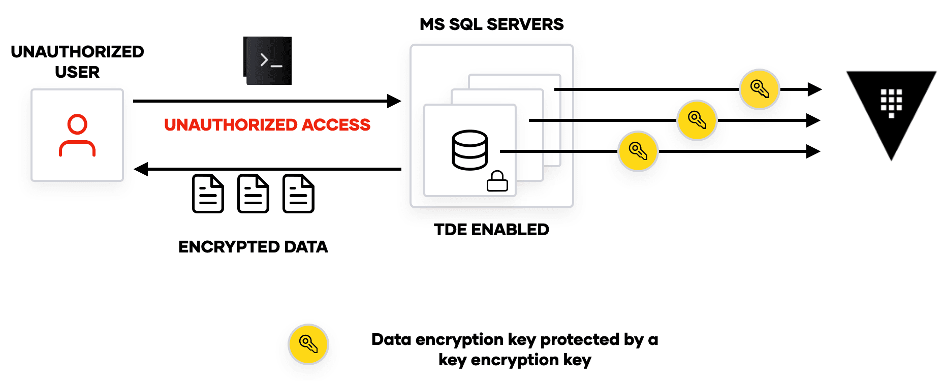 Enabling Transparent Data Encryption for Microsoft SQL with Vault