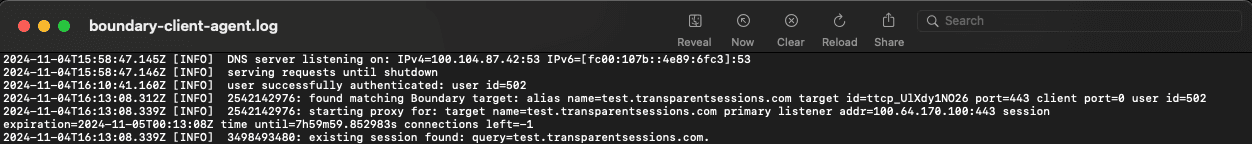 Boundary client agent log