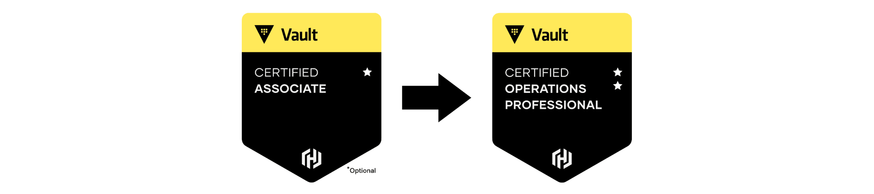 Vault associate to Vault pro