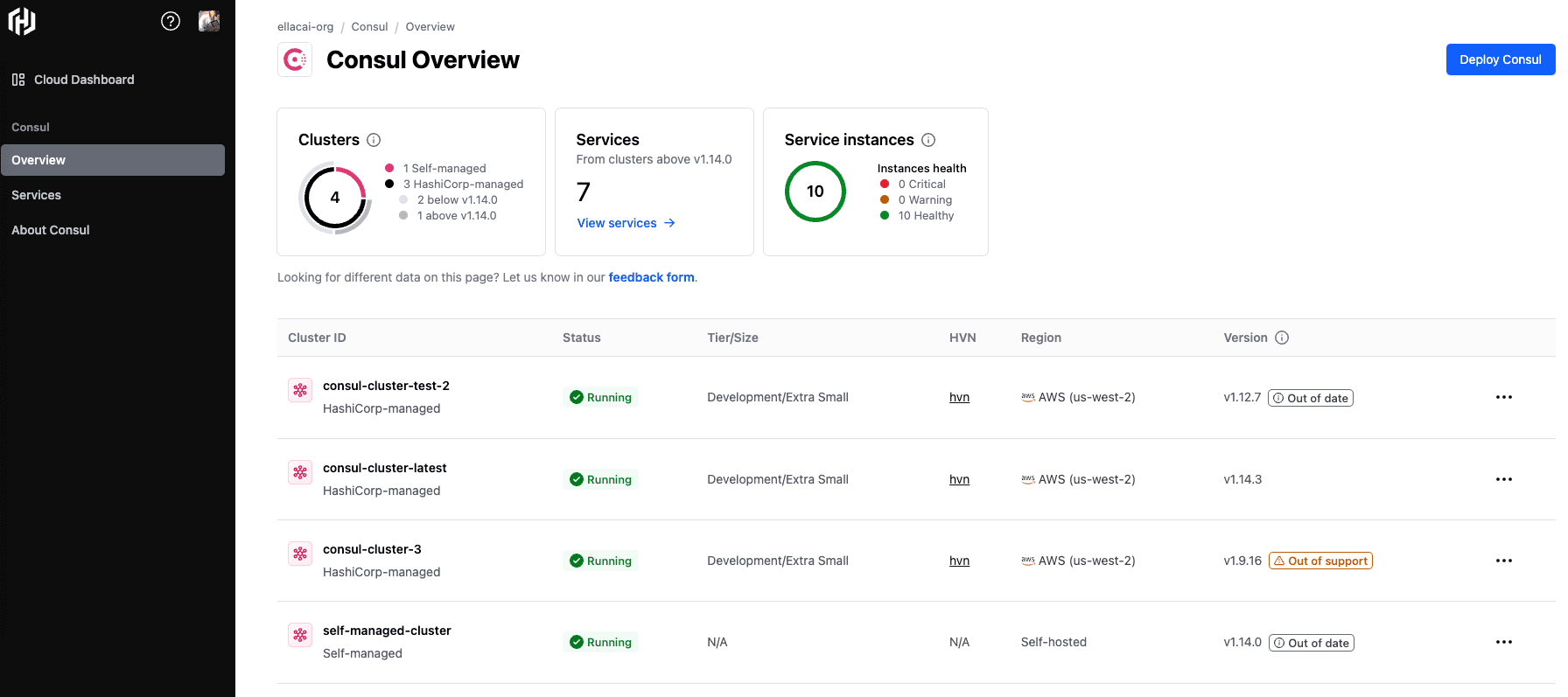 Consul management plane