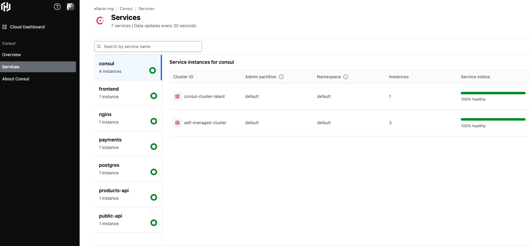 Services page in Consul management plane