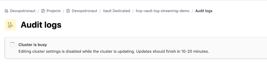 Update screen audit log streaming