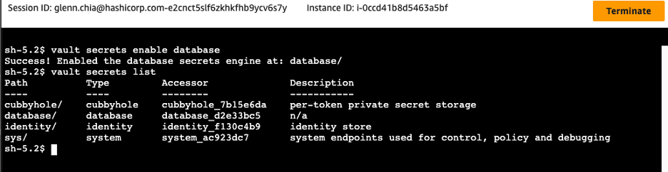 Vault database engine session output