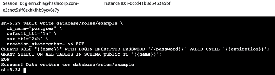 Vault write database output